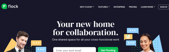 Flock screenshot