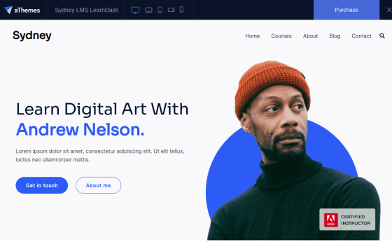 Sydney eLearning (LearnDash) — Online Courses & Mentoring Education website design preview