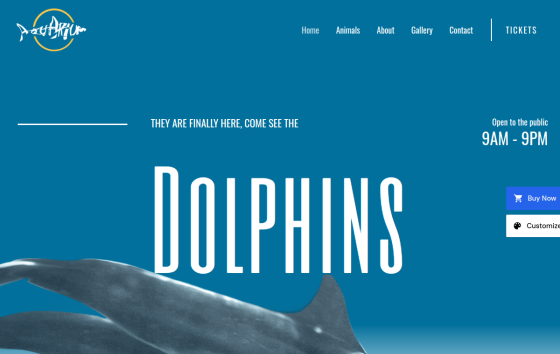 Aquarium — Home, Kids & Pets eCommerce website design preview