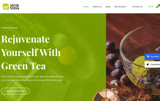 Ayurveda — Clinics & Medical Health & Beauty website design preview