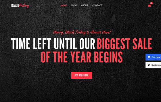 Black Friday — Home, Kids & Pets eCommerce website design preview