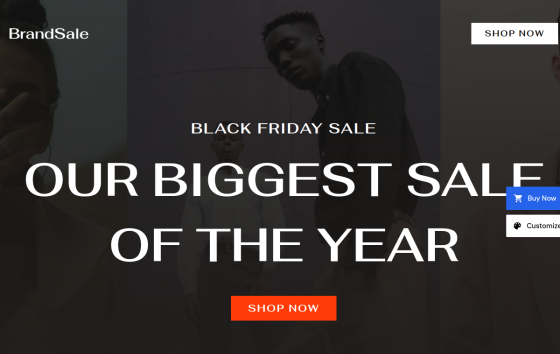 Black Friday Sale — Home, Kids & Pets eCommerce website design preview