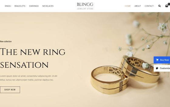 Blingg Jewelry Store — Jewelry & Accessories eCommerce website design preview