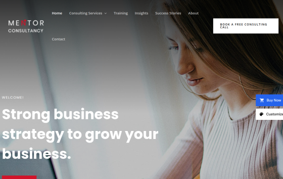 Business Consultancy Firm — Corporate & Consulting Business website design preview