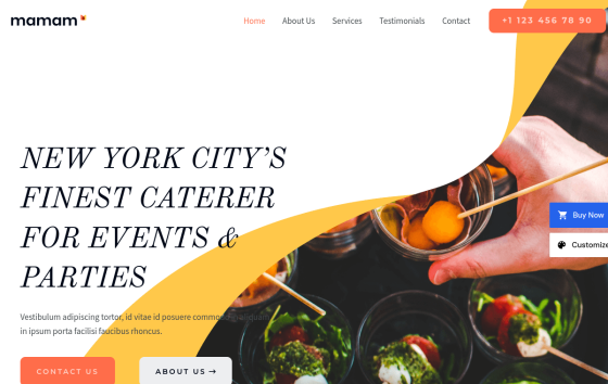 Catering Services — Street Food & Casual Restaurant website design preview