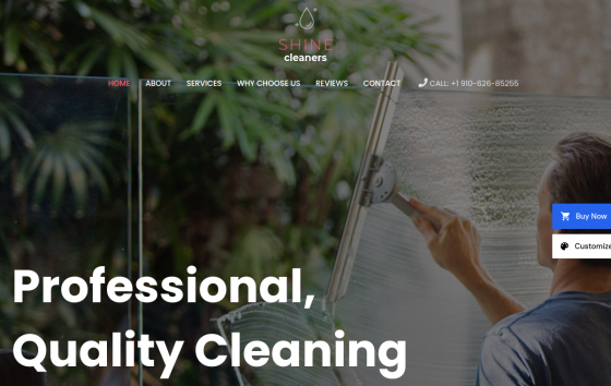 Cleaning Services — Home & Repair Services Automotive & Trade Services website design preview