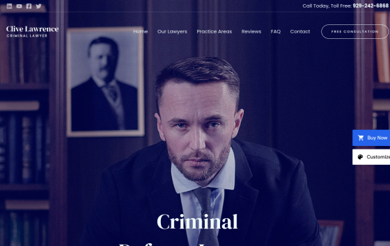 Criminal Lawyer — Legal & Finance Business website design preview