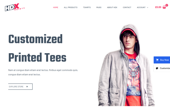 Custom Printing — Corporate & Consulting Business website design preview