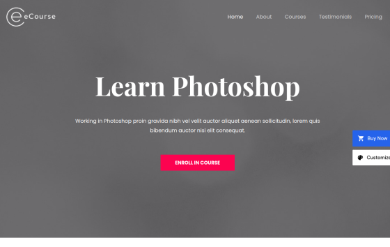 Ecourse Learn Photoshop — Online Courses & Mentoring Education website design preview