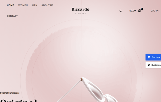 Eyewear Store — Jewelry & Accessories eCommerce website design preview