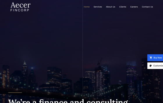 Finance Consulting — Corporate & Consulting Business website design preview