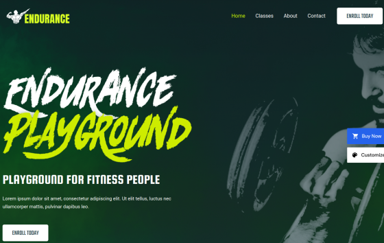 Gym Fitness — Gyms & Studios Fitness website design preview