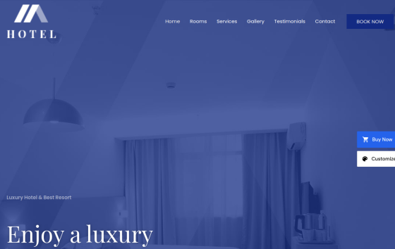 Astra Hotel — Hotels & Stays Travel & Hospitality website design preview