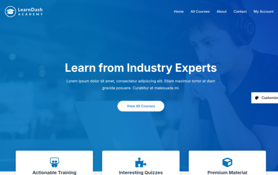 Learndash Academy — Online Courses & Mentoring Education website design preview