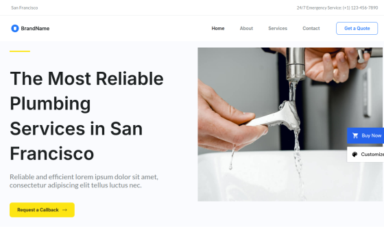 Local Business — Corporate & Consulting Business website design preview