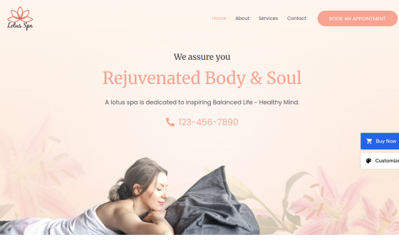 Spa — Corporate & Consulting Business website design preview