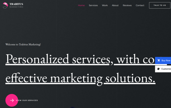 Marketing Firm — SaaS & Digital Business Business website design preview