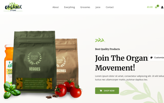 Simply Natural — Lifestyle & Personal Blog website design preview