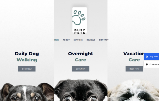 Pet Care — Home & Repair Services Automotive & Trade Services website design preview