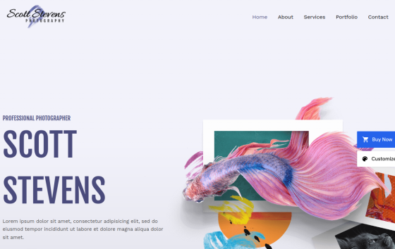 Photographer — Portrait & Wedding Photography website design preview
