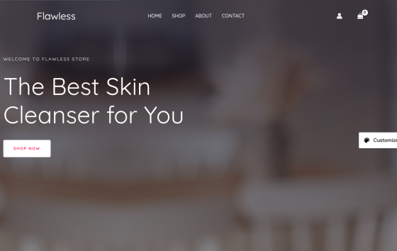 Skin Cleanser Store — Skincare & Fragrance Health & Beauty website design preview