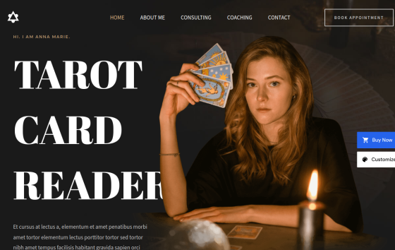 Tarot Card Reader — Tech & Startups Technology website design preview
