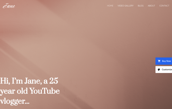 Vlogger — Lifestyle & Personal Blog website design preview