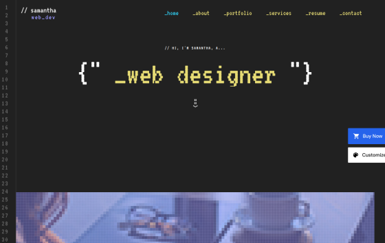 Web Developer Portfolio — Design Studios Agency website design preview