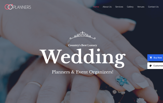 Wedding Planner — Weddings & Events Travel & Hospitality website design preview