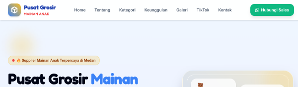 Pusat Grosir Mainan Anak
