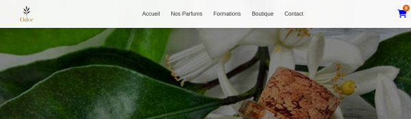 Aperçu de Odor cosmetique