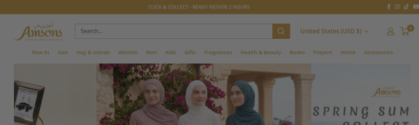 Amsons UK website screenshot