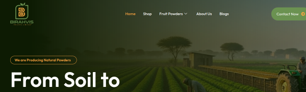 Birahvis website screenshot