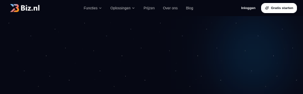Screenshot of Biz.nl website