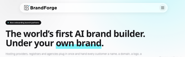 Screenshot of BrandForge website