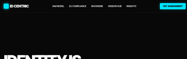 Identity Centric Solutions website preview