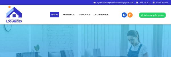 Diseño de página web profesional en Lima para agencia los andes