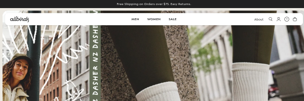 Allbirds website preview