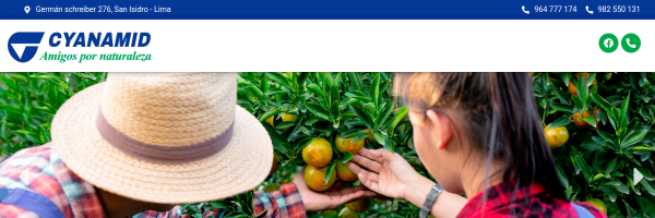 Diseño de página web profesional en Lima para cyanamid