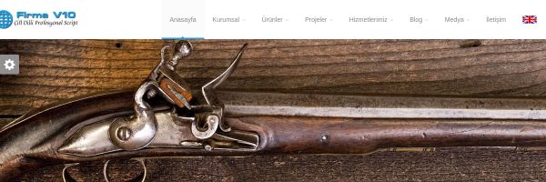 Profesyonel Firma V10