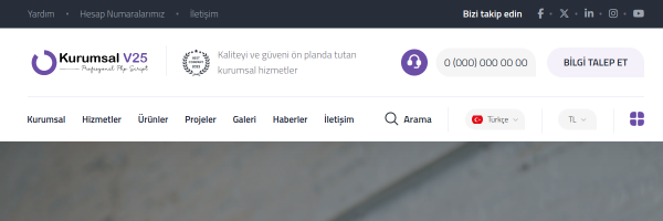 Kurumsal Firma V25