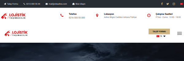 Lojistik