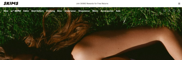 SKIMS website preview