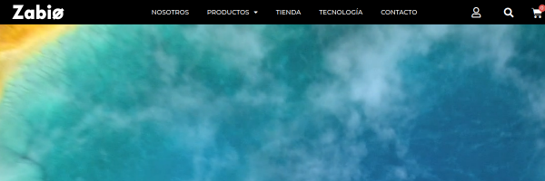 Diseño de página web profesional en Lima para zabio bio