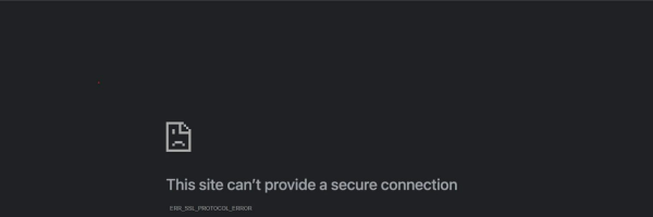 Eve Medical Center - Website developed by professional web developer Sagheer Abdul Hameed