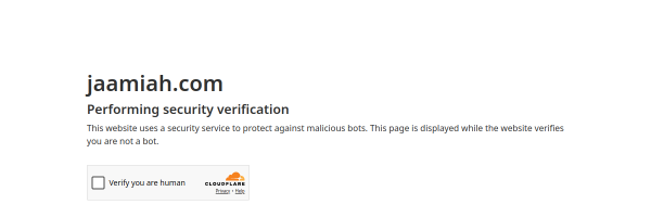 Jaamiah - Website designed and developed by professional web developer Sagheer Abdul Hameed