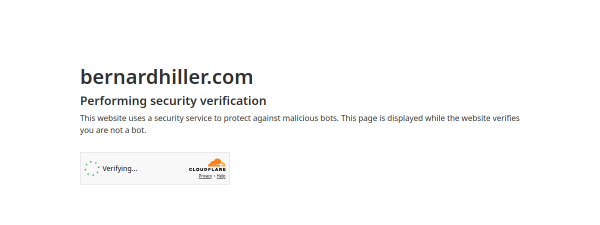 Snapshot of bernardhiller.com