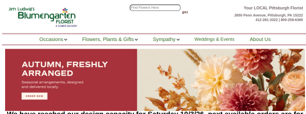 Snapshot of blumen.com