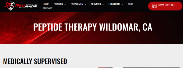 Snapshot of redzoneperformance.com
