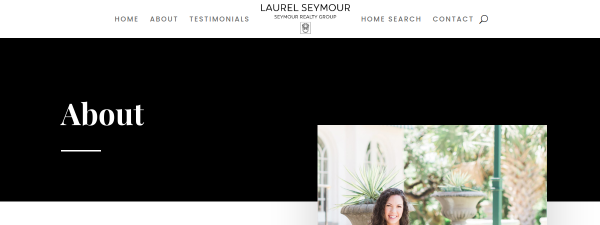 Snapshot of seymourrealtygroup.com